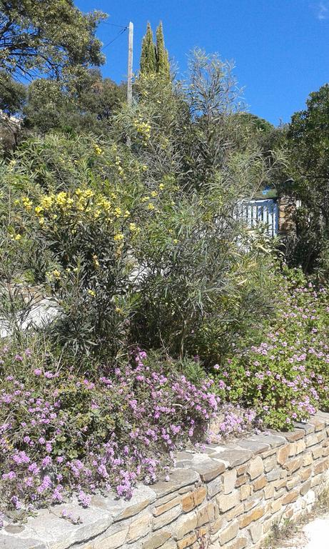 Villa Merveille Bormes-les-Mimosas Bagian luar foto