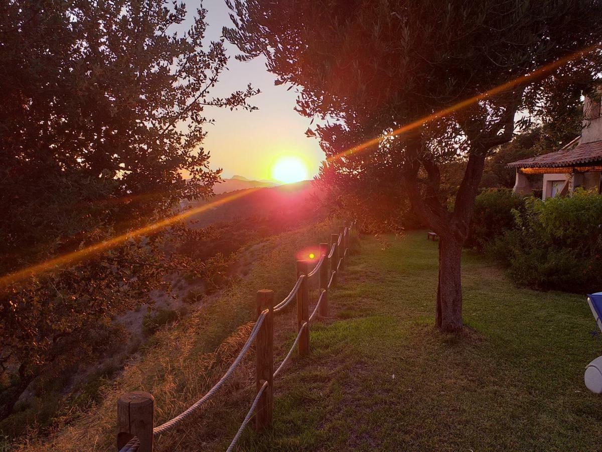 Villa Merveille Bormes-les-Mimosas Bagian luar foto